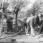 brandweer