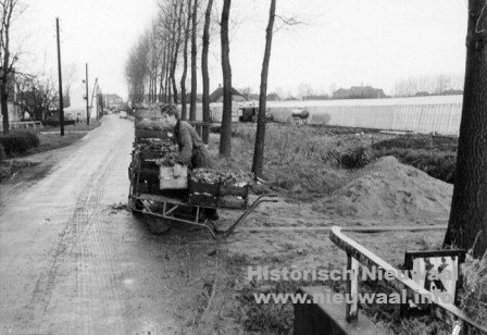 Jacob Ekelmansstraat 013