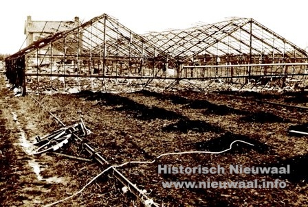 Hogeweg 012