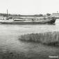 Waal 024